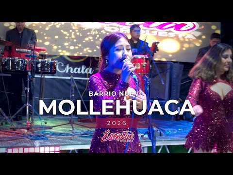 Orquesta Esencia de Arequipa ❤️ en Mollehuaca Caravelí🎶