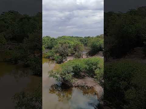 Rio cristalino município de nova Nazaré mato grosso.
