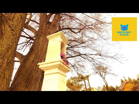 Samotni - Bóbrka - Kapliczka przydrożna, pomiędzy akacjami.  s1e4