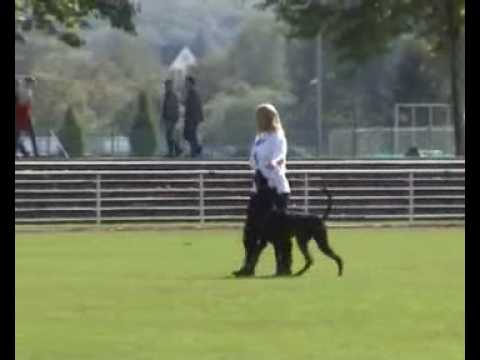 Lennox von Aurachgrund