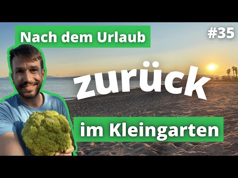 Our allotment garden documentary - Vlog #35 Gardening in autumn - What to do with the leaves?