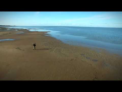 Nationalpark Vadehavet - Rømø