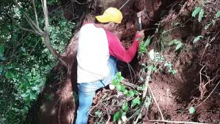 Download lagu Bonsai serut (bakalan besar di perengan jurang) mp3 Download lagu Bonsai serut (bakalan besar di perengan jurang) mp3