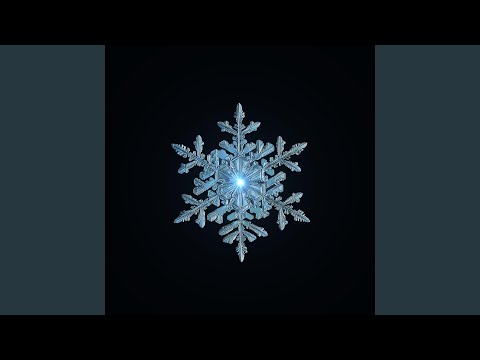 Płatek śniegu (feat. florek, Giu & Kuczi)