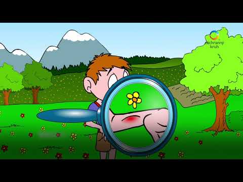 První pomoc pro děti - Bodnutí