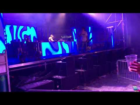 Avete mai sentito parlare dei VIOLINI??? Igor S + Lady Brian