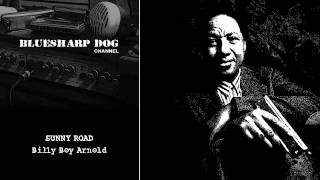 Sunny Road by Billy Boy Arnold