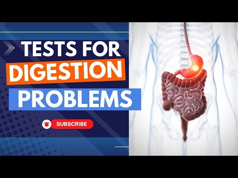 Urine test se kya pata chalta hai Qualitative analysis of urine Urinalysis test