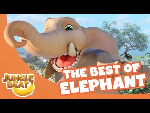 The Best of Elephant - Jungle Beat Compilation [Full Episodes]