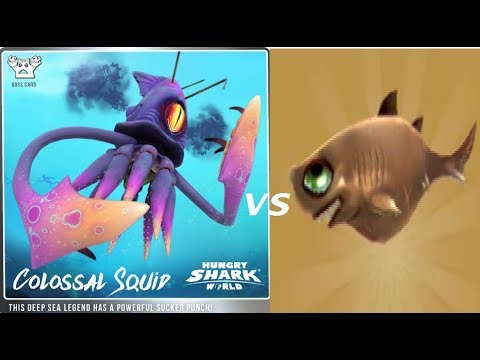 Connie the Cookiecutter! New Pet vs Colossal Squid - Hungry Shark World