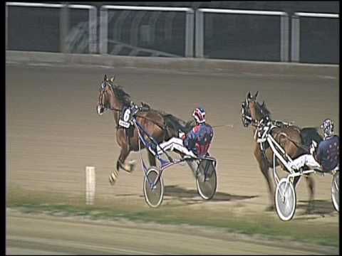 Trotto 17/03/2017 - 7ª corsa