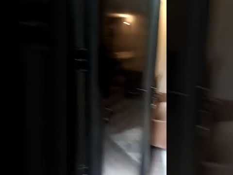 Soundproof Garden room Quick Test Raw footage