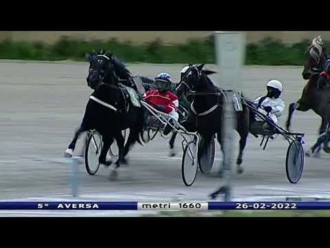 Aversa trotto 26 Febbraio 2022 - 5° Corsa