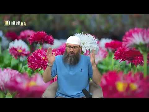 Sumnja da se počinio grijeh (vesvese) - Elvedin Pezić