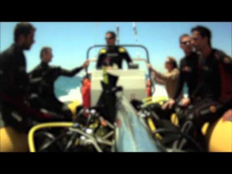 Boost Life and Scuba Dive