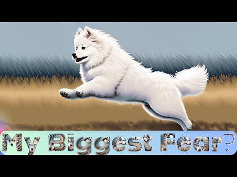 you wanna know my biggest fear? it's the thought of losing you | dog | motivation