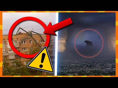 10 Gigantiske Skabninger Fanget På Kamera!