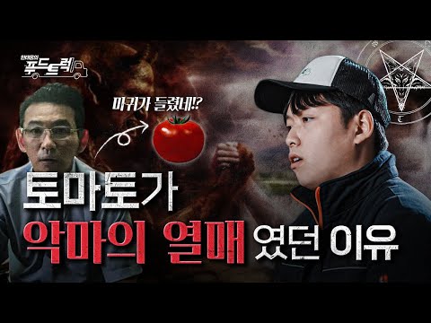 전 세계를 벌벌 떨게 한 토마토의 과거 모습｜한태웅의 푸드트럭