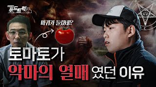 전 세계를 벌벌 떨게 한 토마토의 과거 모습｜한태웅의 푸드트럭