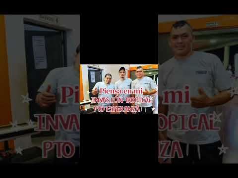 piensa en mi invasión tropical