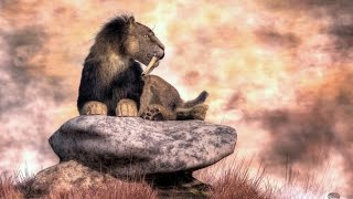 The Elder Scrolls/Древние Свитки: "Кошки Скайрима"