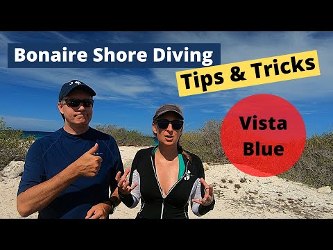 Bonaire Shore Diving Tips & Tricks - Vista Blue