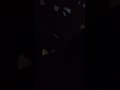 Opening To Cleopatra 2001 VHS