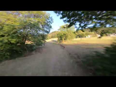 Loffenau #fpv #cinematic #fpvdrone