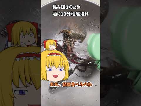 ザリガニ科 - 定義