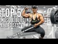 TOP 5 Exercises to Get Bigger (Gain Muscle Mass for Skinny Guys - Gain Weight) w/ Exercise Explained