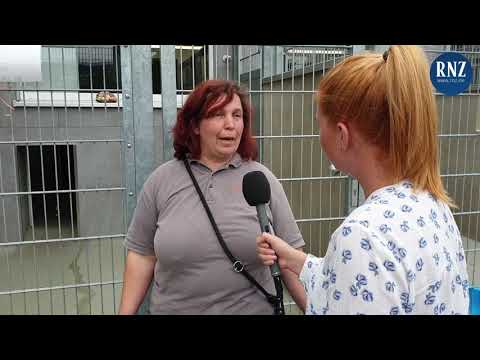 Kampfhunde-Angriff in Leimen: Was nun mit den Hunden passiert