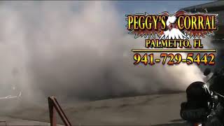 Peggys Corral in Palmetto, FL