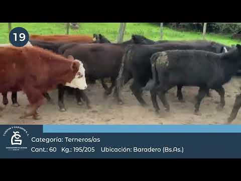 Lote M Y H - Baradero  Bs As