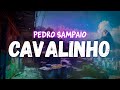 PEDRO SAMPAIO, Gasparzinho - CAVALINHO (letra)