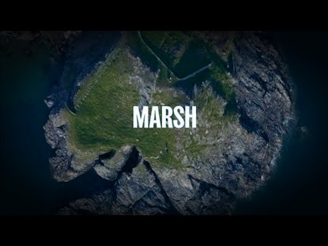 White Leaf - Mandorie [Marsh - Live from Start Point Lighthouse, Devon]