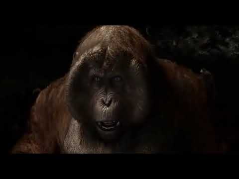 El Libro de la Selva - Quiero ser como Tú