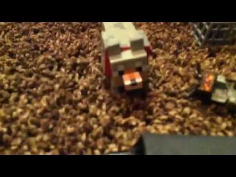 Wolf vs spider jockey