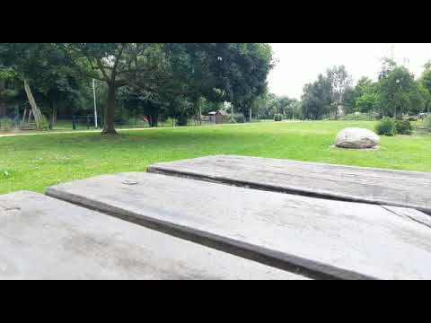 Sirenenkonzert Seehausen