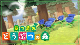 【あつまれどうぶつの森】 芸術の秋