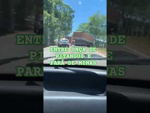 🚨 Grave acidente na BR-352 deixa uma vítima fatal Na manhã desta quarta-feira 12