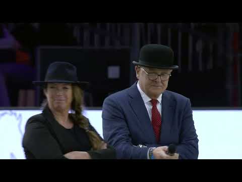 HK 2026 – Horses2fly KFPS sportcompetition showdriving, final and ceremony award ‘It Stiennen Hynder’ – Spanish