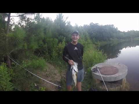 HUGE 8LB BASS CAUGHT POND FISHING !! * CRAZY *