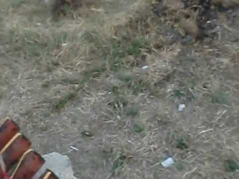 allestimento batteria alla sanseverese pirolandia a foce varano