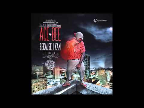 ACEBEE (BIKM) P I M P FT B REED OF YUNG NATION PROD BY BRIAN BEATA