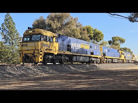 2PM6 PN up "Linfox Express #2" (NRs 42, 81, 77), Perth to Melbourne, 1745, 6/3/25, Horsham VIC