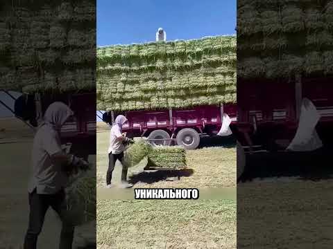 Зачем они СДЕЛАЛИ ЭТОТ ПОДЪЕМНИК 🚜🤔🏗