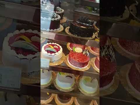 Swiss castle #cake #ytshorts #shorts