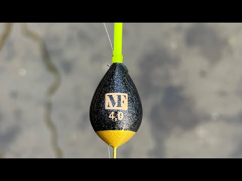 NAJBOLJE PECANJE NA PLOVAK U 2025 GODINI - JUZNA MORAVA