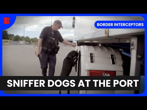 Visa Dilemmas - Border Interceptors - Border Documentary