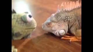 iguanas can be pretty scary